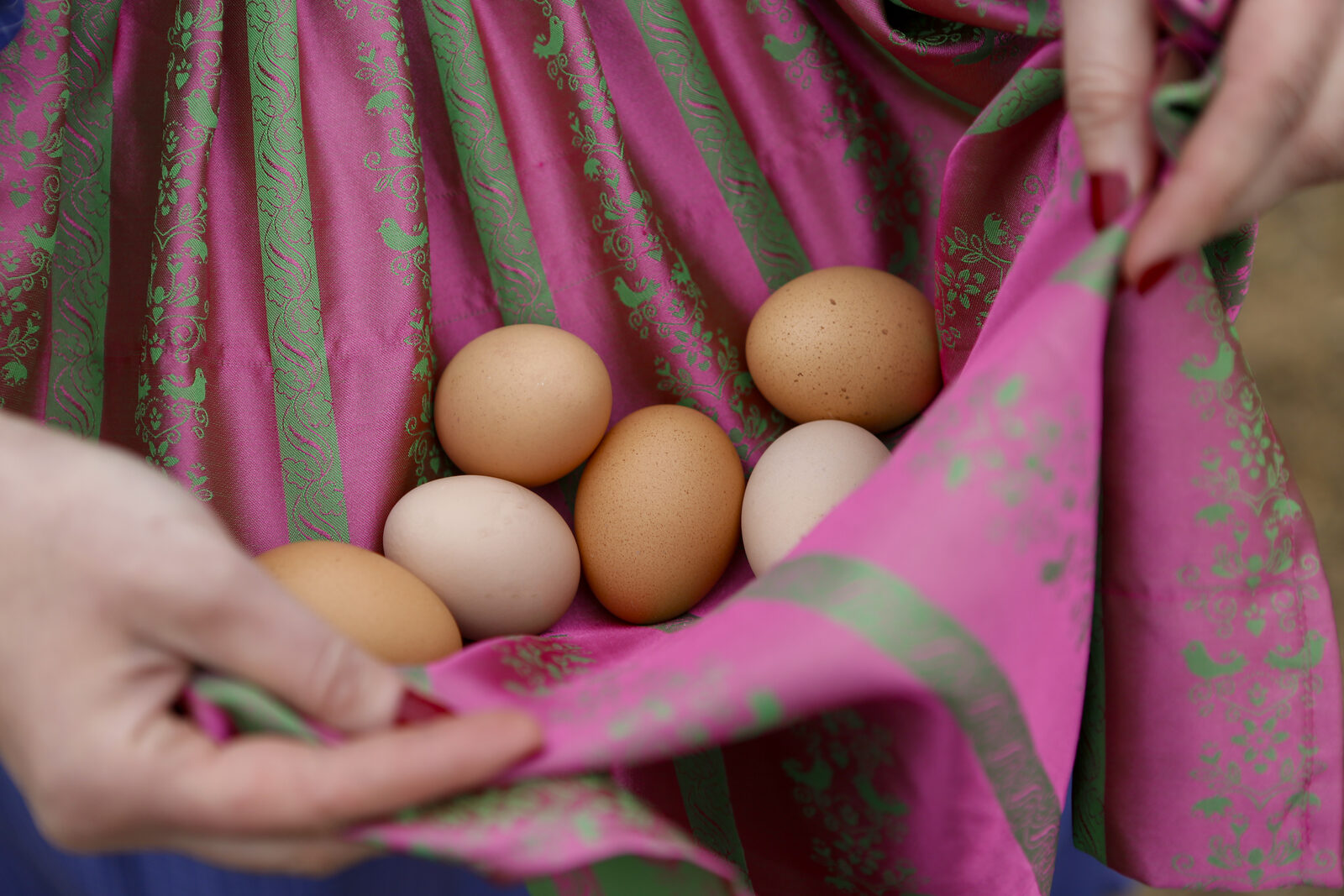Friss farmtojások népviseleti kötényben, Remény Farm